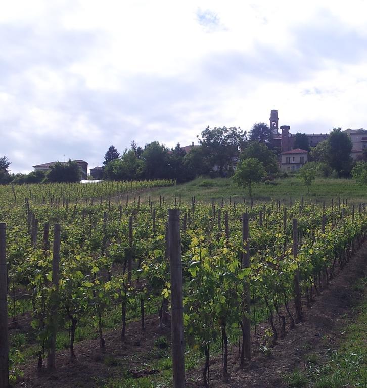 B&B Vigneto Pardom Montiglio Eksteriør billede